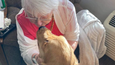 Illustration : "Ce Golden Retriever redonne le sourire aux résidents d’une maison de retraite"