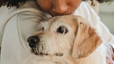 Illustration : Près de la moitié des propriétaires de chien souffriraient d’anxiété de séparation quand ils quittent leur animal de compagnie