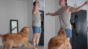 Illustration : "Cet homme fait semblant de ne plus voir sa chienne, et la réaction de la Golden Retriever est très amusante (vidéo)"
