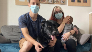 Illustration : "Un couple propose une cagnotte pour sauver sa chienne malade et s’émeut devant la générosité des donateurs "