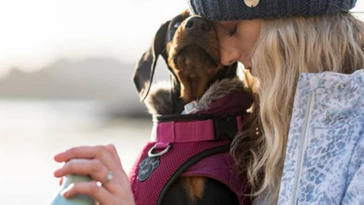https://www.pets-dating.com/assets/img/001/955/1200x675/20-photos-de-personnes-qui-ne-souhaitaient-pas-avoir-de-chien-et-qui-ont-change-d-avis.jpg