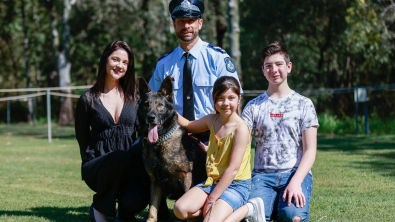 Illustration : Kaos reçoit la plus haute distinction attribuée aux chiens policiers après avoir failli perdre la vie en mission
