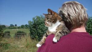 Illustration : "En œuvrant pour le bonheur d'une chatte maltraitée et aveugle, ce couple a aussi guéri de sa propre tristesse"