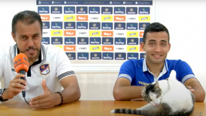 Illustration : "Un chat errant redonne le sourire à une équipe de football après une défaite cuisante (vidéo)"