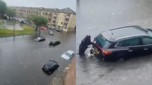 Illustration : "Un chien perspicace aide sa propriétaire à pousser une voiture coincée dans l’eau avec 2 femmes à bord (vidéo)"