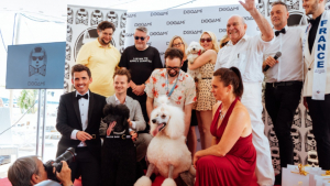 Illustration : "Le meilleur acteur canin recevra prochainement la Palm Dog by Dogamí au 76e Festival de Cannes !"