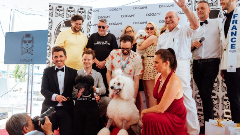 Illustration : French Bandit conceptrice du collier de la Palm Dog by Dogam&iacute; qui sera remis au meilleur acteur canin lors du Festival de Cannes