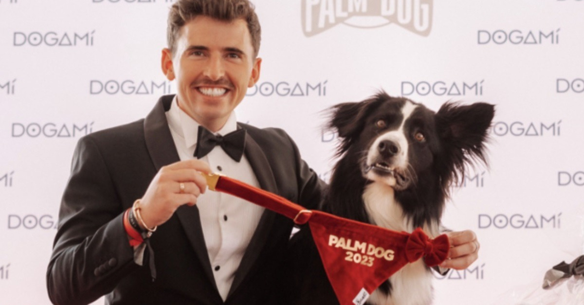 Palm Dog by Dogamí 2023 le chien gagnant est Snoop, auteur d’une