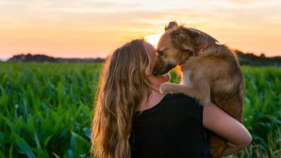 Illustration : "20 photos sublimes de Tofu, chienne ayant surmonté son passé grâce aux fleurs et à la randonnée"