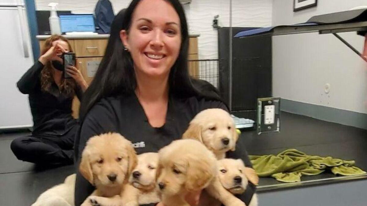https://www.pets-dating.com/assets/img/002/138/1200x675/20-photos-droles-et-touchantes-illustrant-la-relation-unique-qui-existe-entre-animaux-et-veterinaires.jpg