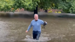 Illustration : "Un homme traverse un parc complètement inondé pour secourir un chat sur le point de se noyer (vidéo)"