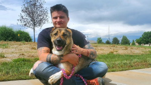 Illustration : "Un vétéran américain tient à adopter un chien en Afghanistan pour lui offrir l’amour et la sécurité qu’il n’a jamais eus"