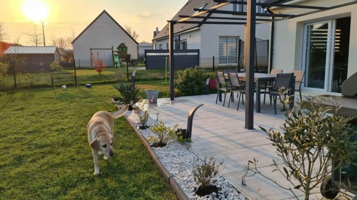https://www.pets-dating.com/assets/img/002/183/1200x675/decouvrez-nomador-nouveau-service-convivial-faire-garder-votre-animal-pendant-vacances.jpg