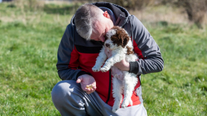 Illustration : "Adopté depuis 1 mois, ce chiot découvre un trésor d’une très grande valeur durant une balade"