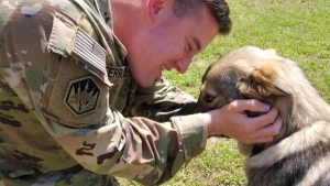 Illustration : "Un militaire pensait ne plus jamais revoir son ami canin rencontré en Afghanistan, mais sa famille lui réservait une belle surprise"