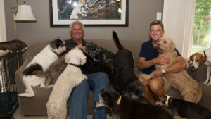 Illustration : "Un couple sauve plus de 12 000 chiens après avoir créé son refuge au fonctionnement singulier"