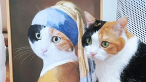Illustration : "14 photos qui prouvent que nos amis les chats sont d'incroyables remèdes contre la morosité"