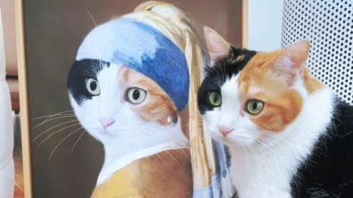 Illustration : "14 photos qui prouvent que nos amis les chats sont d'incroyables remèdes contre la morosité"