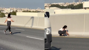 Illustration : "Une sauveteuse n’hésite pas à traverser l’autoroute pour secourir un chaton abandonné sur un terre-plein (vidéo)"