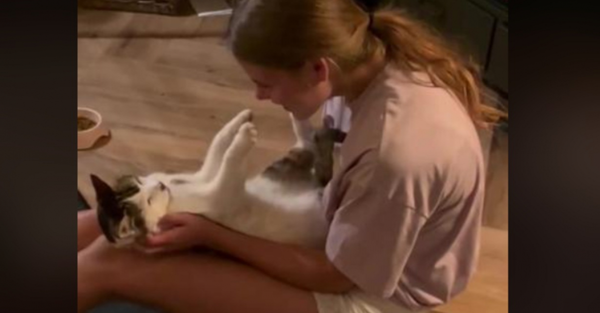 Le dernier au revoir pour ce chat et son propriétaire (vidéo)