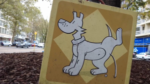 Illustration : "Le fléau des déjections canines en Belgique est à l’étude. Les citoyens appelés à faire preuve de civisme"