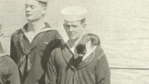 Illustration : "14 photos saisissantes de chats accompagnant des marins sur les navires pendant la guerre"