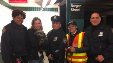 Illustration : "Une petite chienne s'échappe et se perd dans le métro, l’équipe de sauvetage met tout en œuvre pour la sauver"