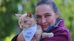 Illustration : "Un chat de soutien émotionnel reçoit un prix pour avoir aidé de nombreux patients pendant 5 ans dans un hôpital"
