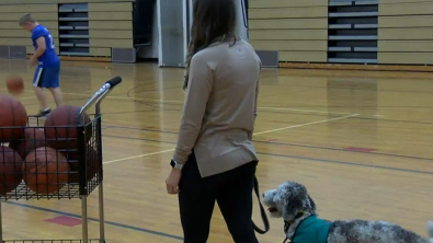 Illustration : "Un chien de thérapie se rend aux cours d’éducation physique dans un collège pour motiver les élèves à participer"