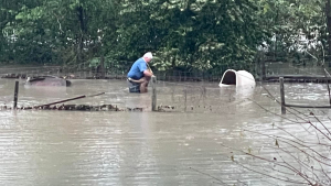 Illustration : "Le directeur d’une association vole au secours d’un chien piégé par une impressionnante inondation"