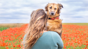 Illustration : "16 photos splendides de Tofu, la chienne amoureuse des fleurs et des randonnées"