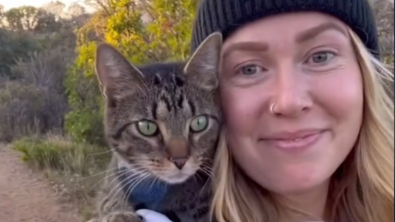 Illustration : "Les adieux poignants d'une femme à son chat gravement malade après une vie d'aventures et de découvertes (vidéo)"