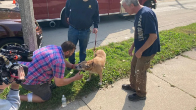 Illustration : Un ancien ambulancier brave les flammes pour sauver Dharma, une chienne prise au piège de sa maison