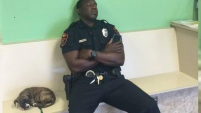 Illustration : "L'émouvante photo d'un policier et d'un chiot errant endormis chez le vétérinaire cache une belle histoire"