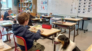 Illustration : "Dans une école française, des enfants atteints d’autisme se sont ouverts aux autres grâce à Pirate, chien d’assistance"