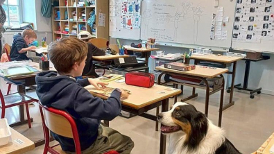 Illustration : "Dans une école française, des enfants atteints d’autisme se sont ouverts aux autres grâce à Pirate, chien d’assistance"
