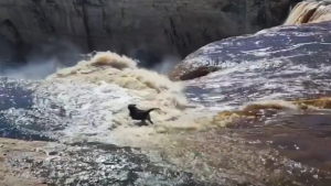 Illustration : "Des promeneurs tentent de sauver un chien tombé dans une cascade de 32 mètres"