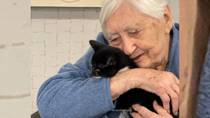 Illustration : "Les visites de ces chatons apportent réconfort et sourires aux pensionnaires d'une résidence pour séniors"