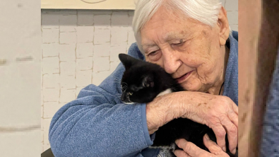 Illustration : "Les visites de ces chatons apportent réconfort et sourires aux pensionnaires d'une résidence pour séniors"