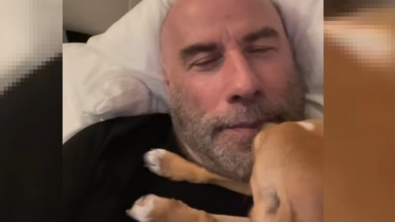 Illustration : "Heureuse d’avoir été adoptée en refuge, la chienne de John Travolta le couvre de bisous au réveil (vidéo)"