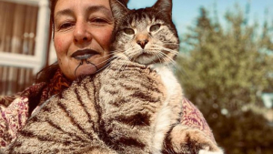 Illustration : "Un chat héroïque prévient sa maîtresse qu’un cyclone arrive et lui sauve la vie"