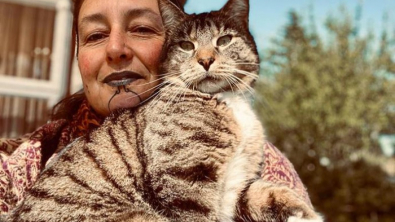 Illustration : "Un chat héroïque prévient sa maîtresse qu’un cyclone arrive et lui sauve la vie"