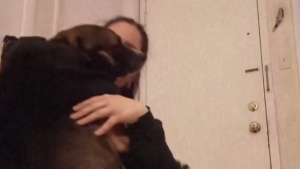 Illustration : "Elle annonce à sa chienne qu’elle l’adopte définitivement, sa réaction fait fondre la toile (vidéo)"
