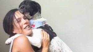 Illustration : "Très reconnaissante, cette chienne démonstrative remercie sa maîtresse tendrement après son adoption (vidéo)"