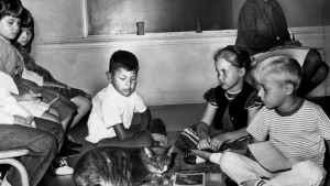 Illustration : "Ce chat a marqué l’histoire d’une école californienne et l’esprit de tous ceux qui l’ont fréquenté"