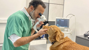 Illustration : "Laurent Bouhanna, le docteur qui révolutionne la médecine vétérinaire avec Ophtavet, une clinique spécialisée dans l’ophtalmologie pour animaux"
