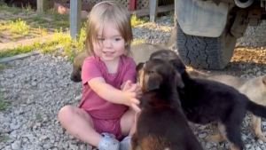 Illustration : "À un an et demi, cette petite fille veille sur 4 chiots avec beaucoup d’empathie et de bienveillance (vidéo)"