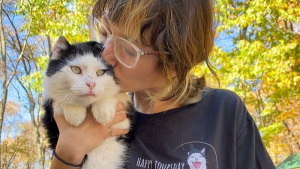 Illustration : "L’histoire inspirante d’une bienfaitrice déterminée à gagner la confiance d’un chat errant pour le mettre à l’abri"