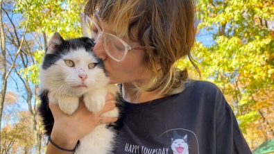 Illustration : "L’histoire inspirante d’une bienfaitrice déterminée à gagner la confiance d’un chat errant pour le mettre à l’abri"