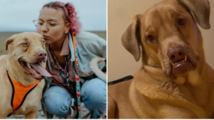 Illustration : "Tombée sous le charme d’un chien à l’apparence atypique, une jeune femme partage son expérience d’un quotidien joyeux et tendre"